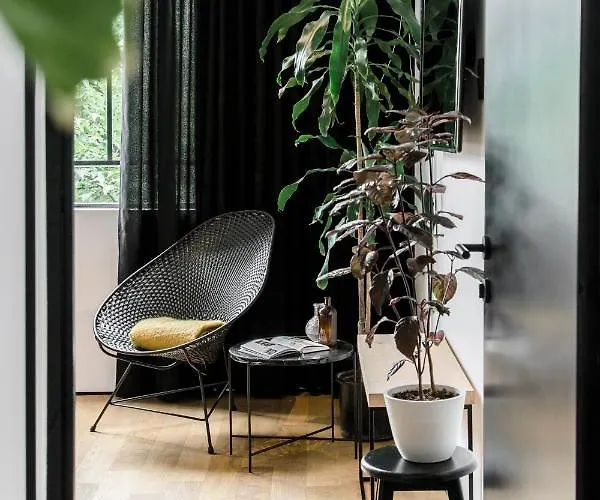 Itto Condesa Hotel