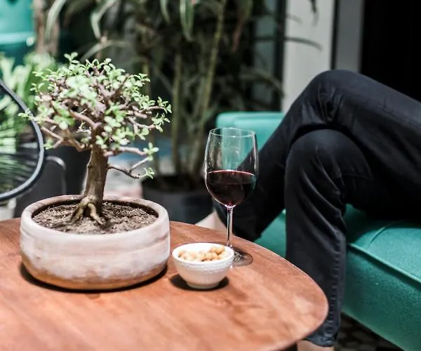 Itto Condesa Hotel Mexico City